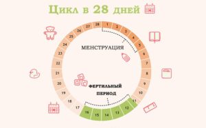 Вероятность беременности от ПА на 7-9 дни цикла