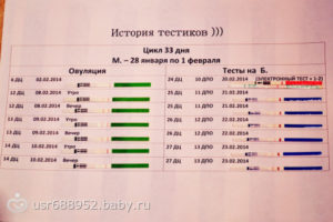 Определит ли тест беременность на 26 день цикла