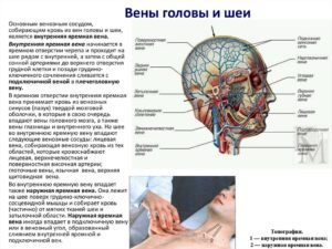 Вены головы и шеи отклонения