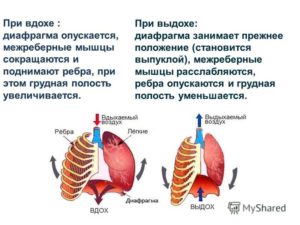 Вдох и покалывания