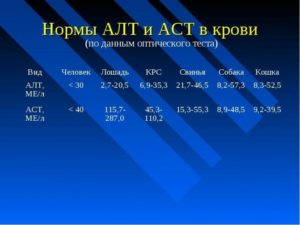 Плохие результаты АЛТ и АСТ