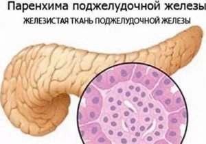 Незначительные диффузные изменения паренхимы поджелудочной железы