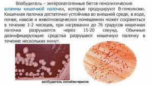 Гемолитическая палочка у грудничка