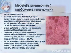 Клебсиелла пневмонии в кале у ребенка