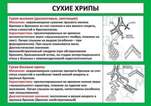 Свист в легких во время кашля у ребёнка