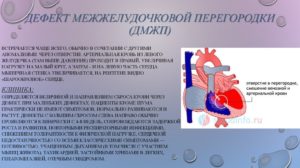 Дефект межжелудочковой перегородки у плода