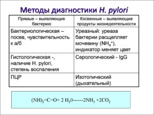 Может ли быть температура при хеликобактер