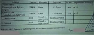 Уреаплазма! Через сколько дней сдавать контрольный анализ?