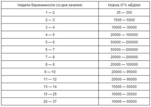 ХГЧ при оплодотворении яйцеклетки