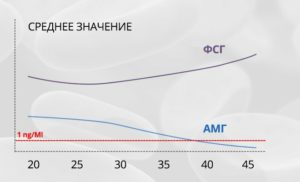 Низкий АМГ и самостоятельная беременность