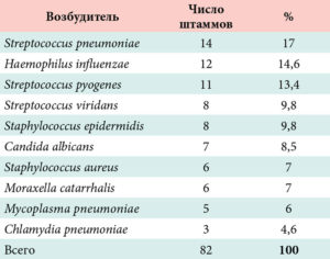 1 Staphylococcus warneri 10^5 КОЕ/мл 2 Streptococcus pyogenes 10^4 КОЕ/мл