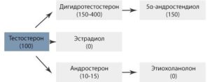 Дигидротестостерон повышен в 11 раз