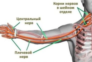 Боли в спине, онемение правой руки