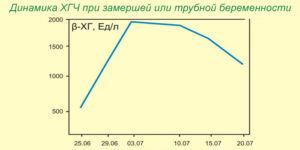 Растет хгч при замершей беременности