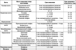 Размеры ядер головок окостенения