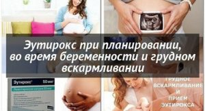 Приём Эутирокса при планировании беременности