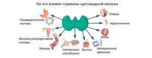 Гормоны надпочечников и узел в щитовидной железы